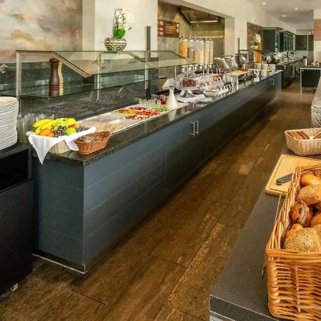 Plaza Stuttgart-ditzingen 4* 딧칭엔