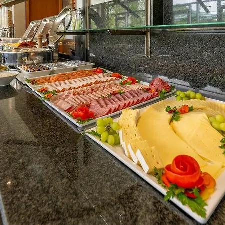 Plaza Stuttgart-ditzingen Otel 4*