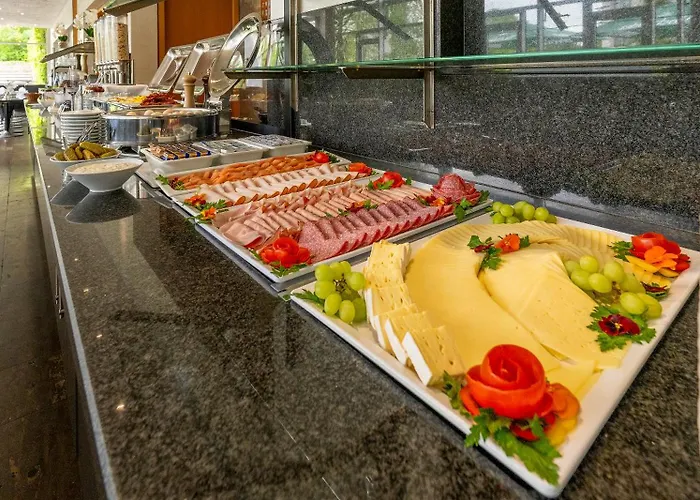 Plaza Stuttgart-ditzingen 酒店 4*