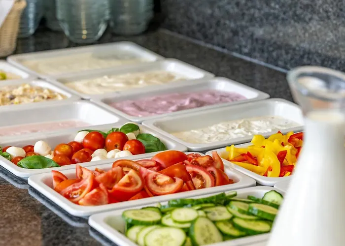 Plaza Stuttgart-ditzingen 4* 迪琴根