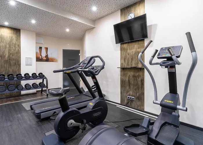 Plaza Stuttgart-ditzingen 酒店 4*